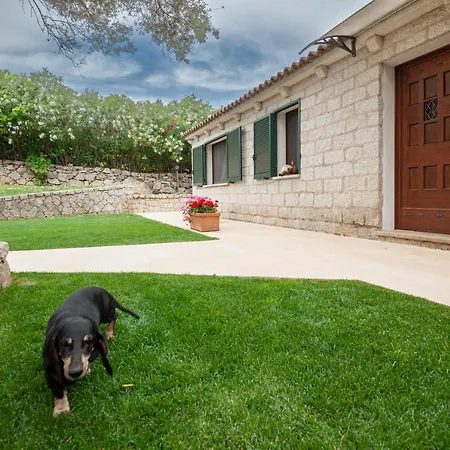 Con Piscina Nelle Colline Della Gallura *