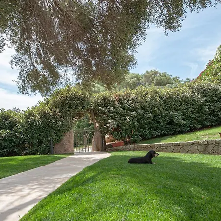 Villa Con Piscina Nelle Colline Della Gallura Arzachena