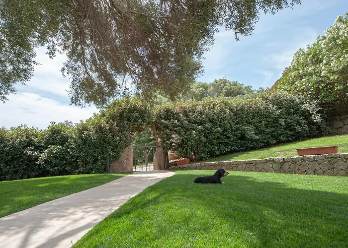 Villa Con Piscina Nelle Colline Della Gallura Arzachena